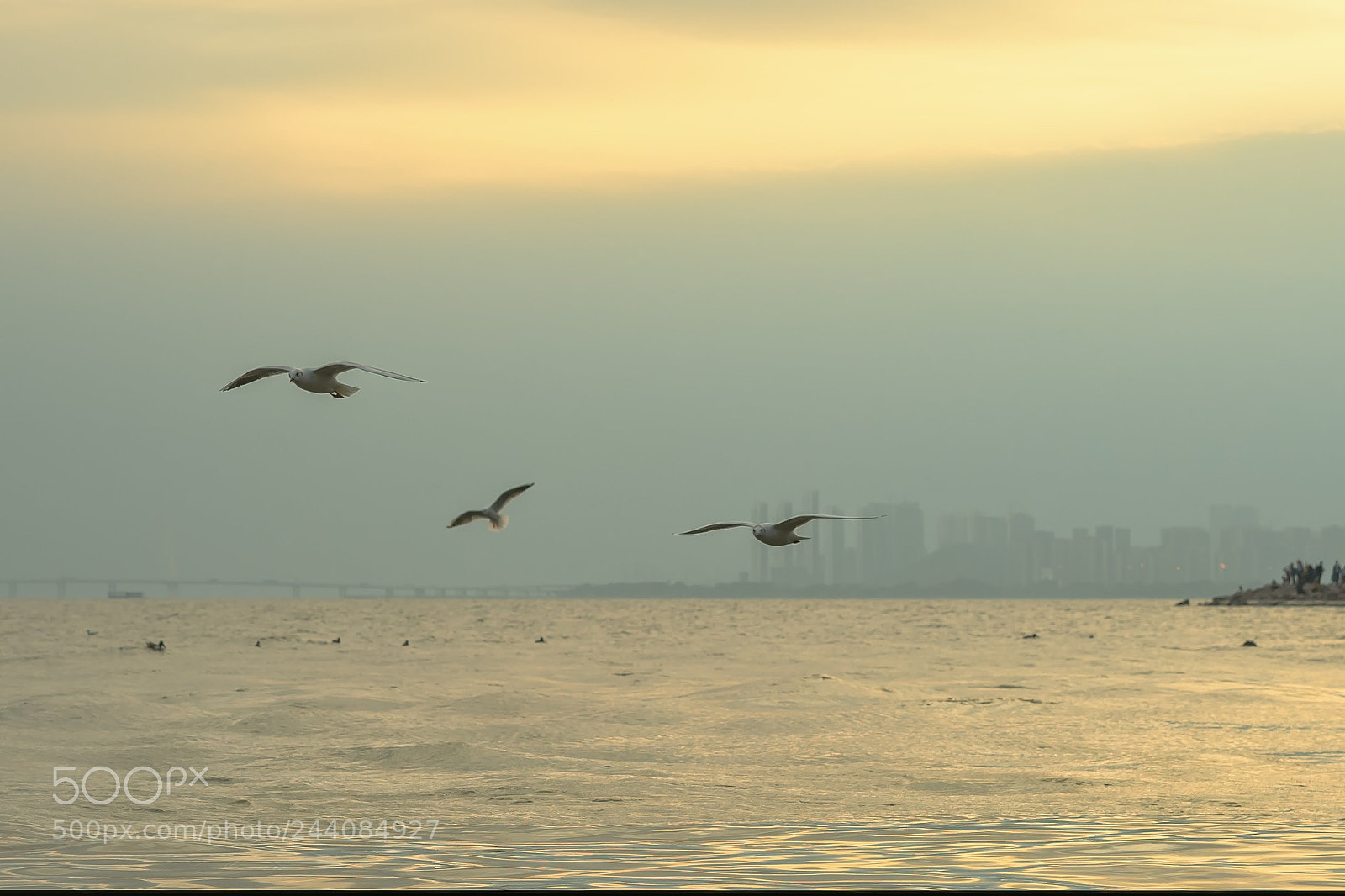 Sony a7 sample photo. 低空飞行 photography