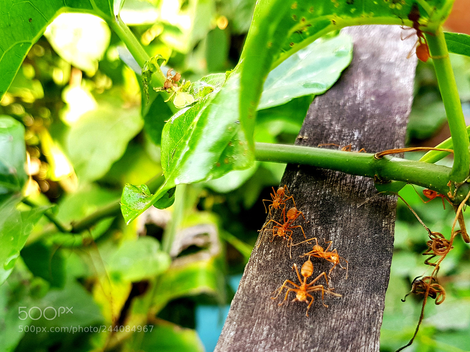 Samsung Galaxy S8+ sample photo. Untitled photography