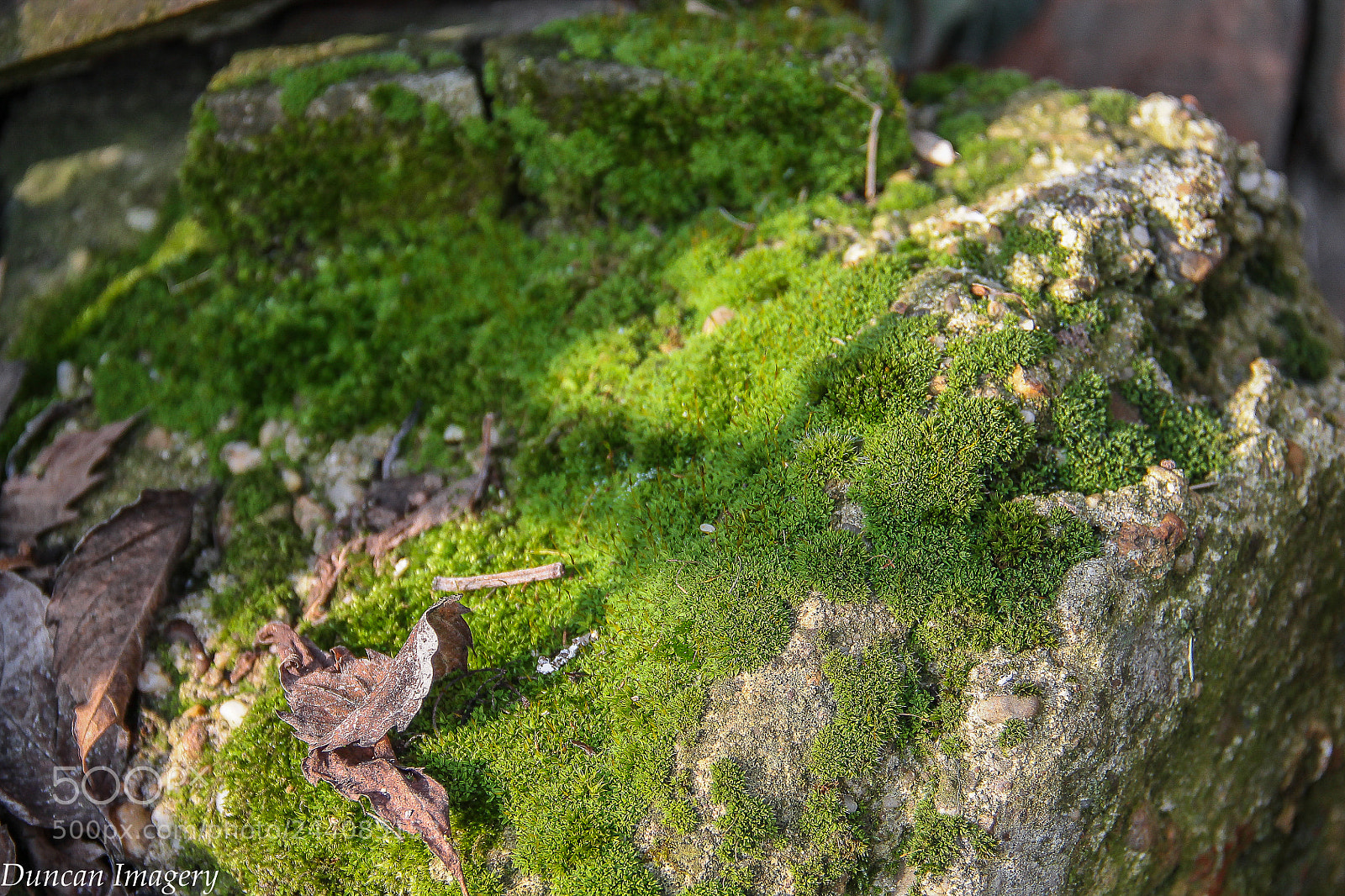 Canon EOS 1100D (EOS Rebel T3 / EOS Kiss X50) sample photo. Green stone photography