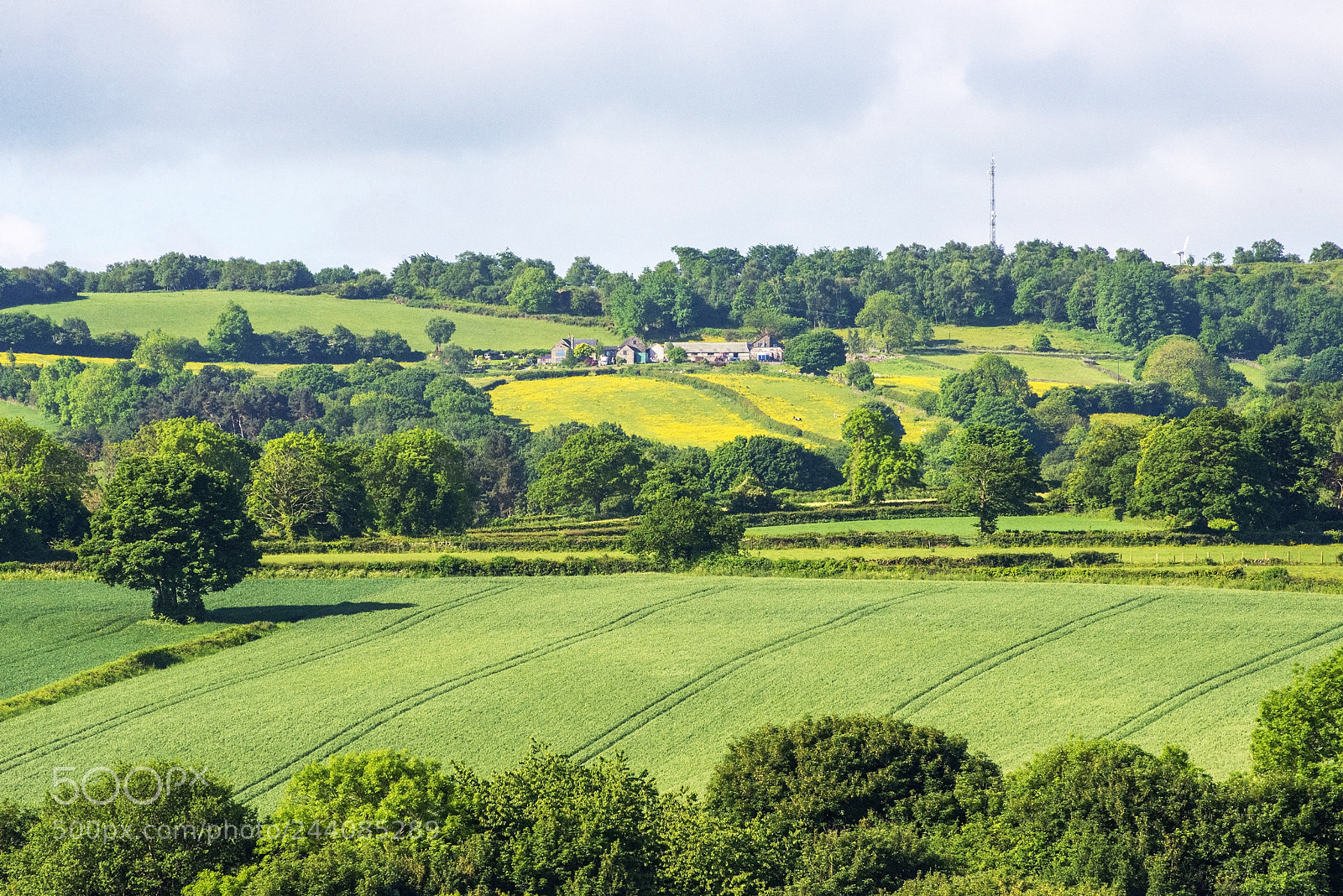 Nikon D600 sample photo. Rural scene (1) photography