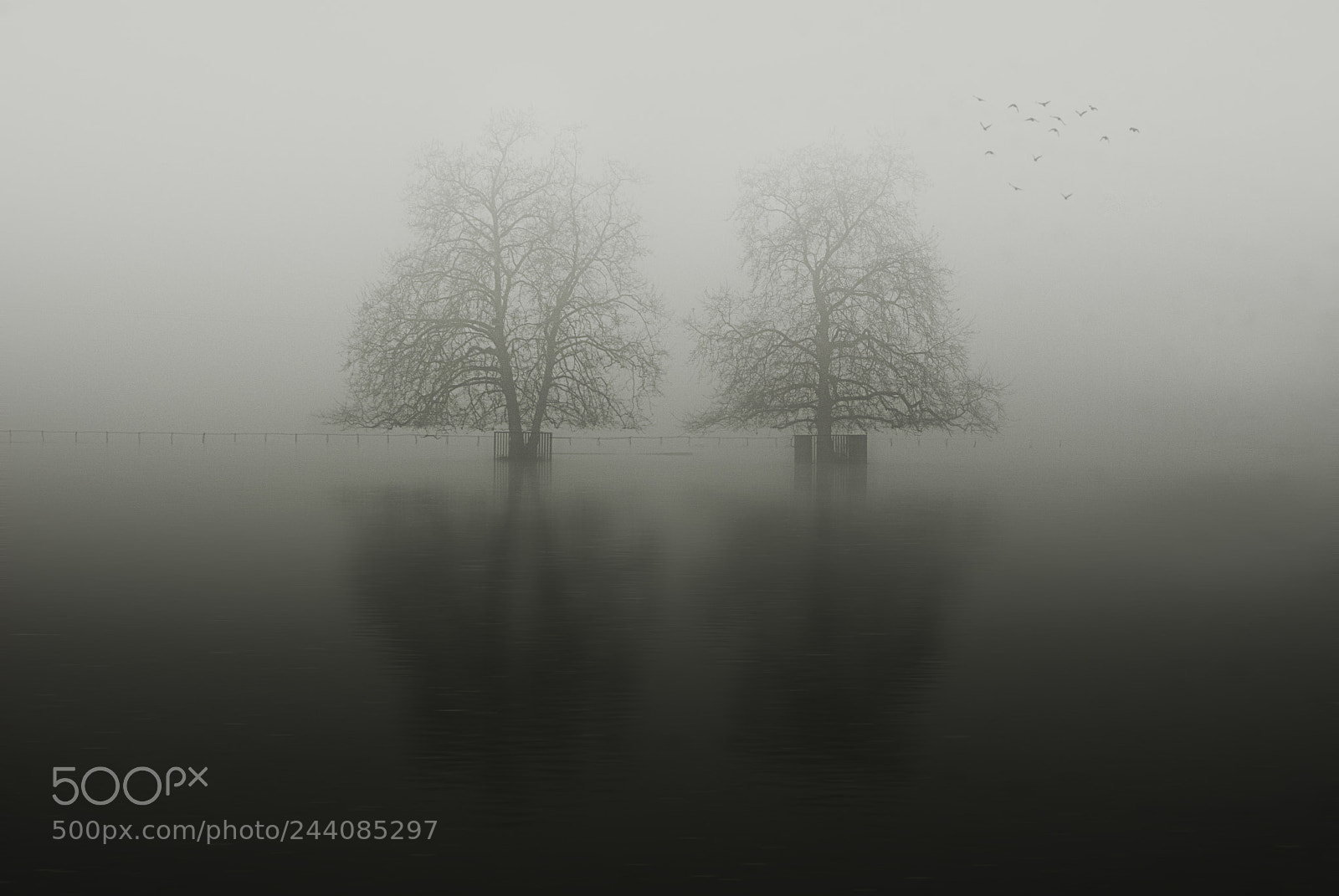 Nikon D200 sample photo. Fog and flood photography