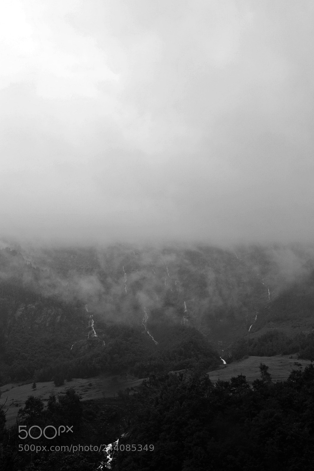 Nikon D3100 sample photo. Gloomy greatness photography