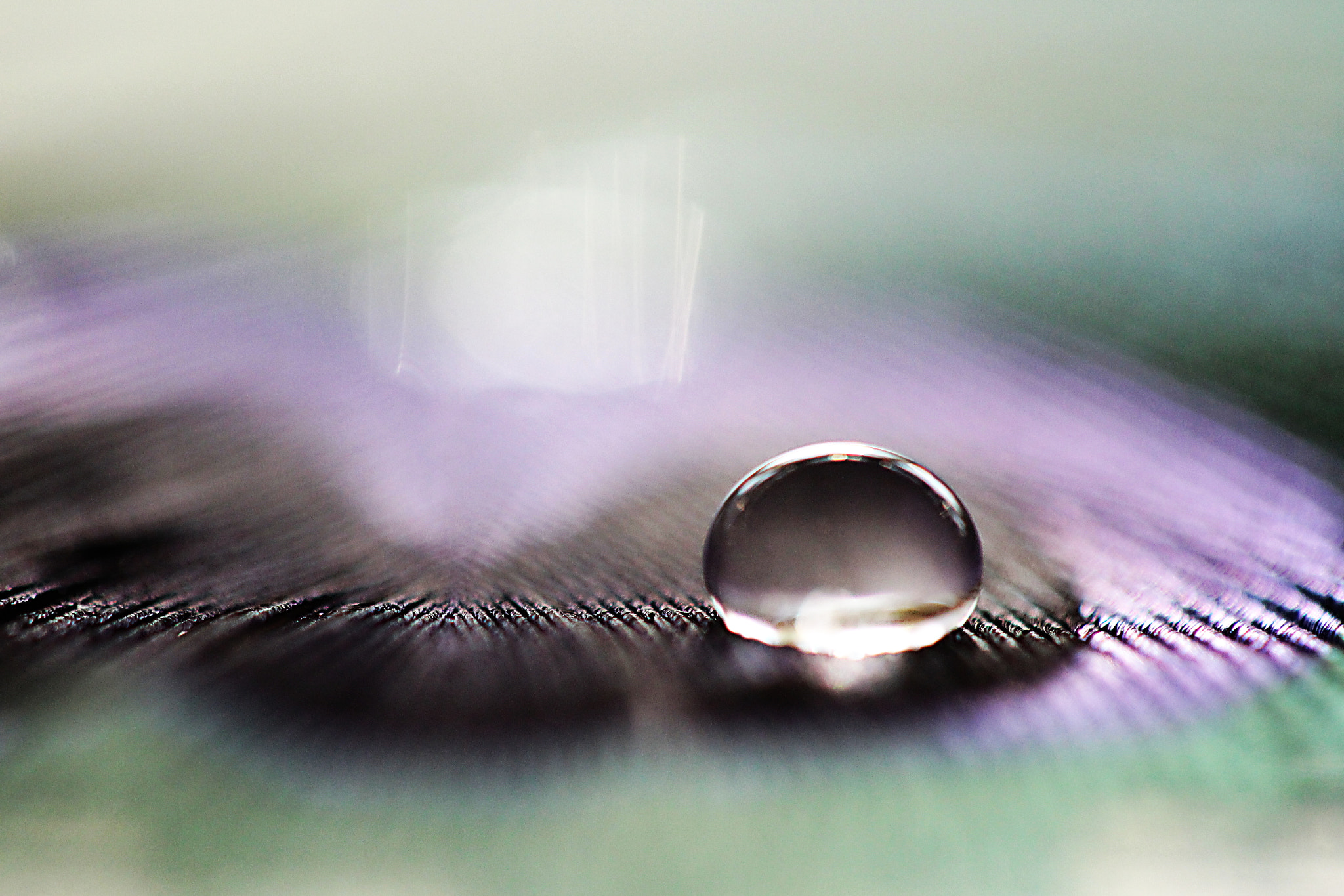 Canon EF 100mm F2.8 Macro USM sample photo. Take you on the way which leads to the light photography