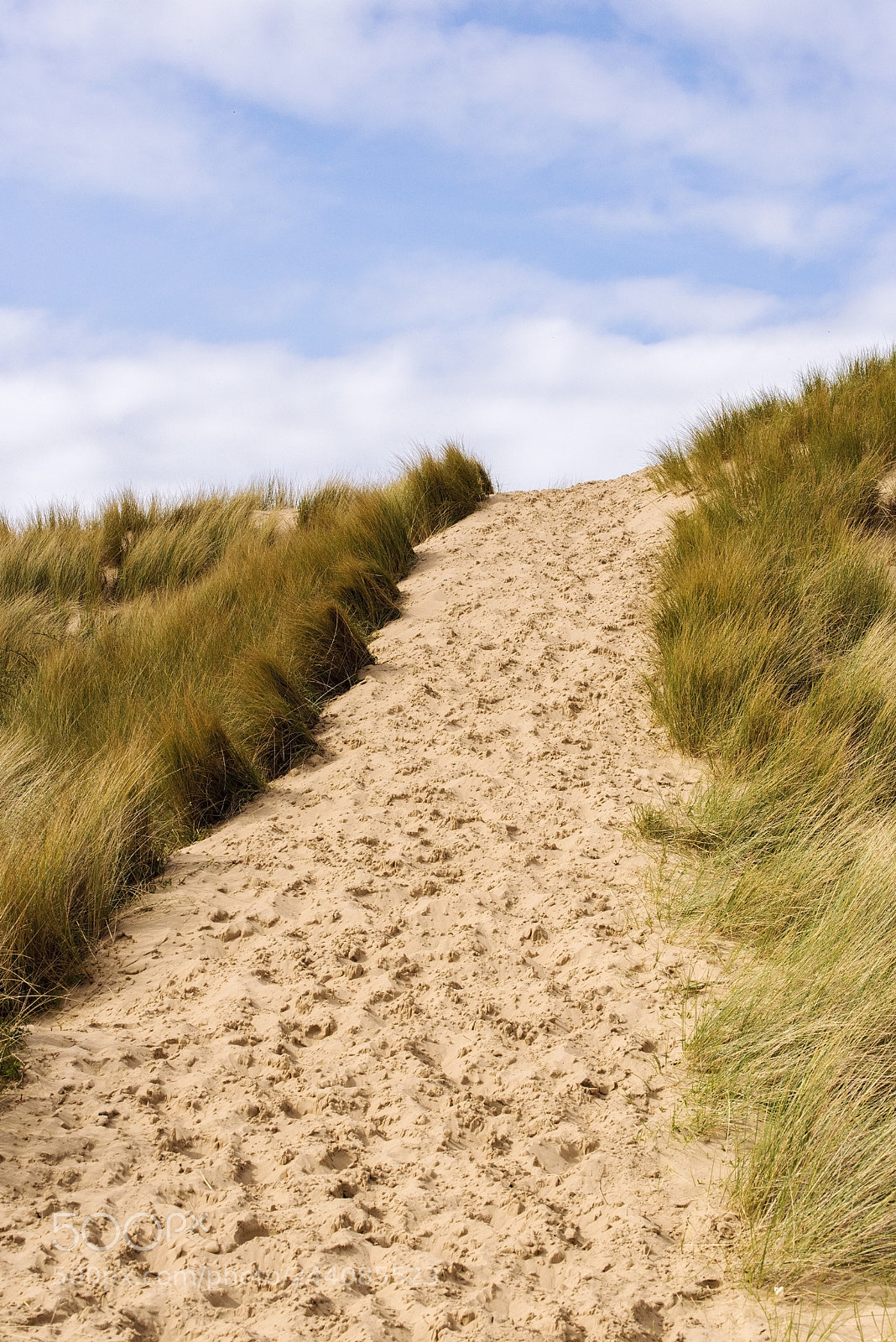 Nikon D600 sample photo. It's steep! (1) photography
