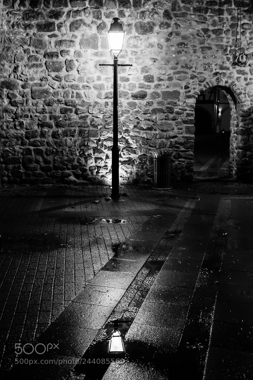 Canon EOS 760D (EOS Rebel T6s / EOS 8000D) sample photo. Under the rain photography