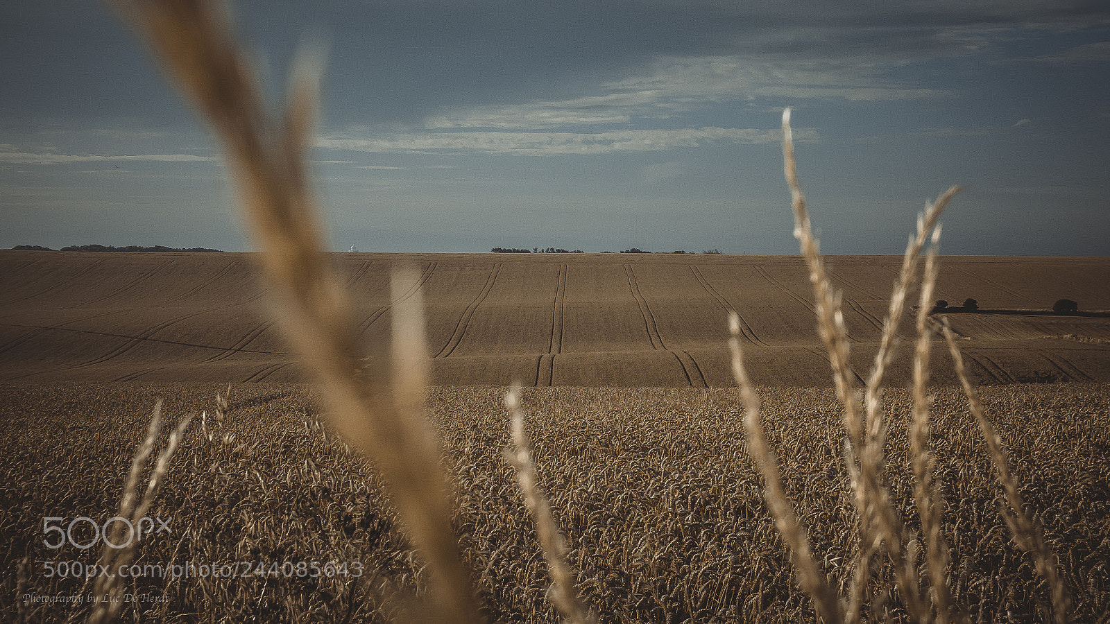 Panasonic Lumix DMC-LX100 sample photo. English countryside photography