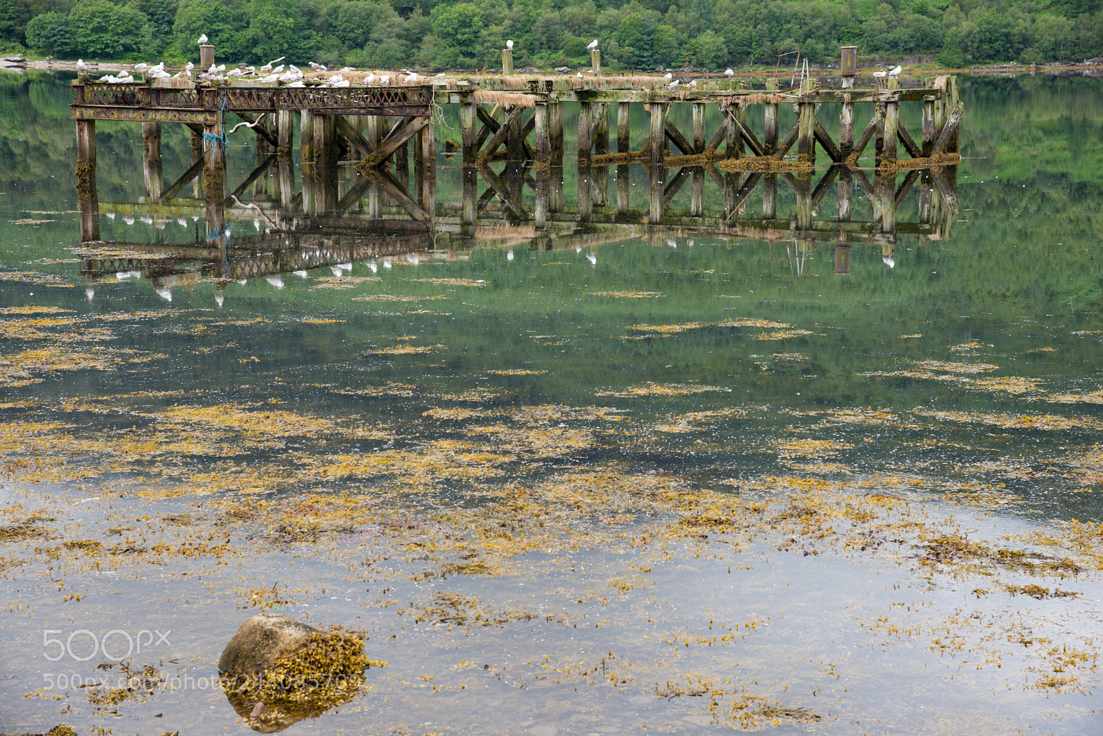 Nikon D600 sample photo. Lake photography