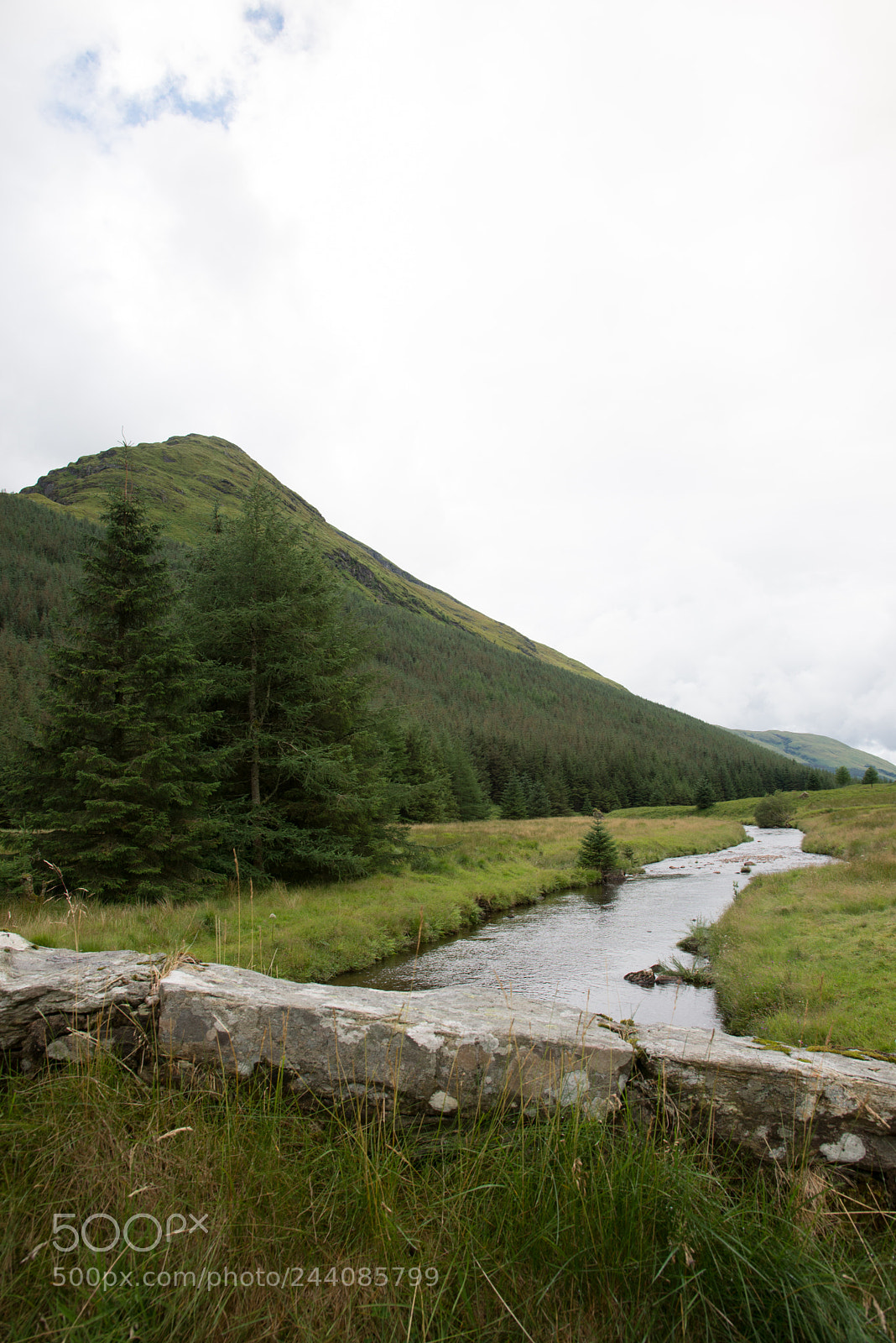 Nikon D600 sample photo. The old bridge photography