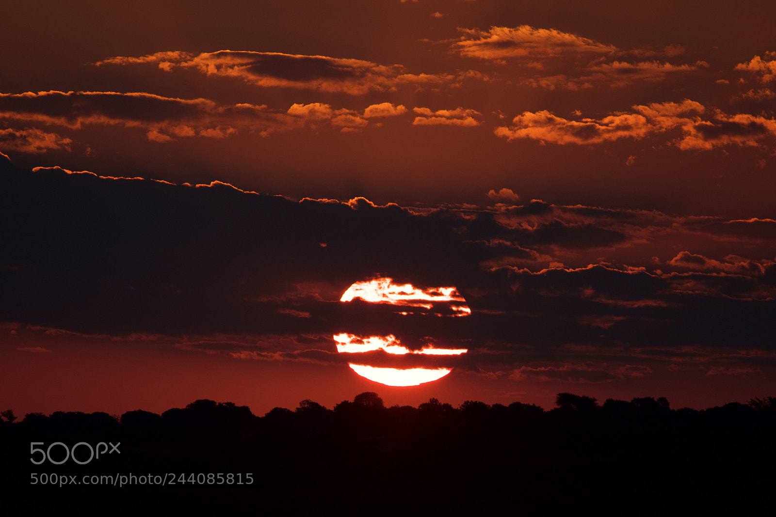 Nikon D5500 sample photo. African sunset photography