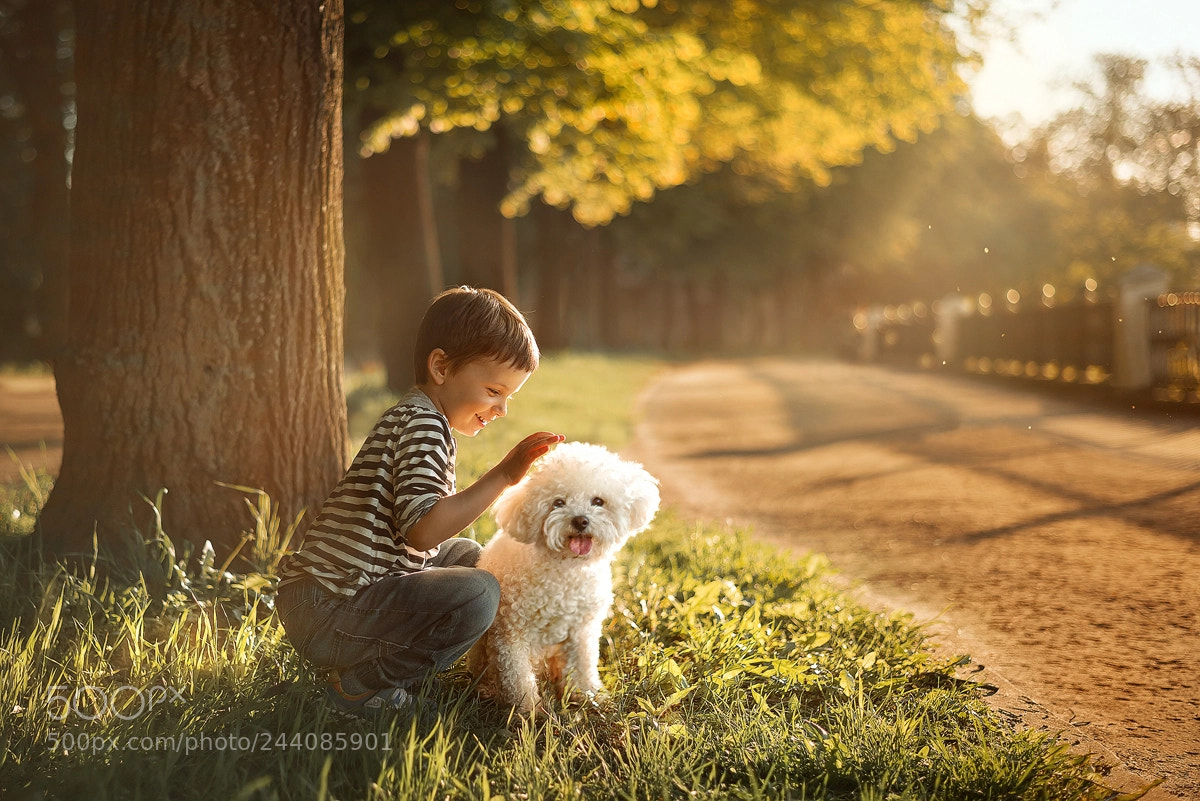Nikon D610 sample photo. ... photography