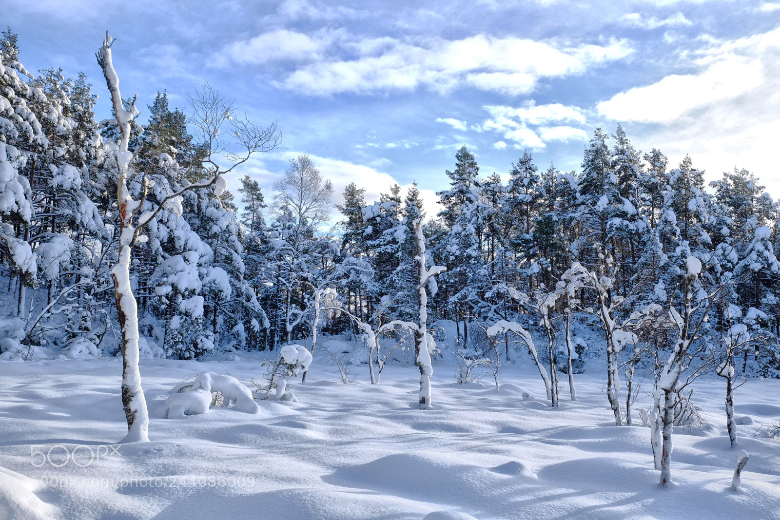 Fujifilm X-E1 sample photo. Stunning white scenery a photography