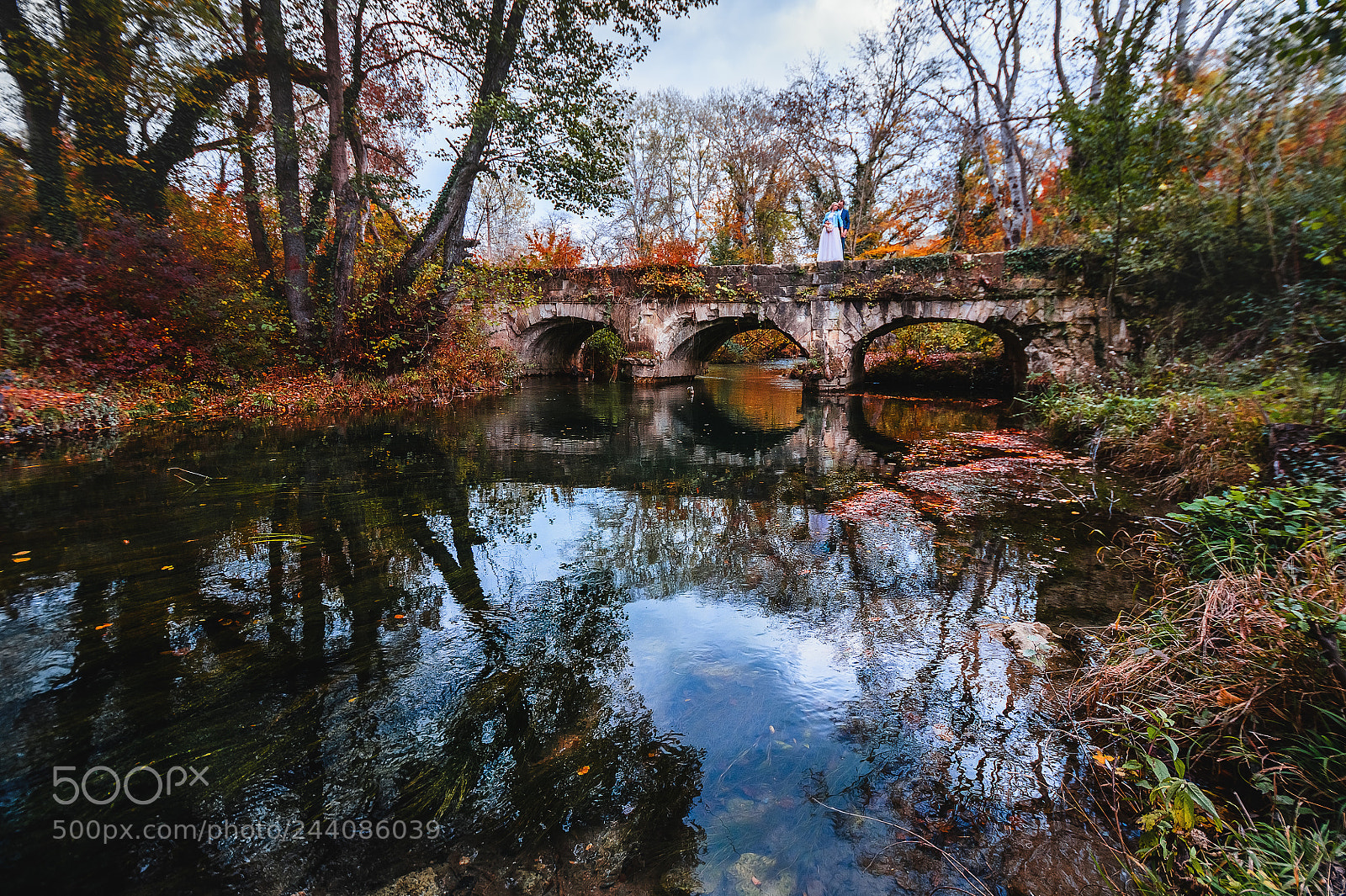 Nikon D7100 sample photo. Autumn in crimea photography