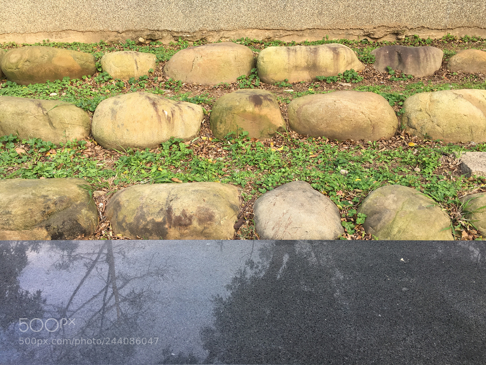 Apple iPhone 6s Plus sample photo. 平鎮 雙連坡 photography