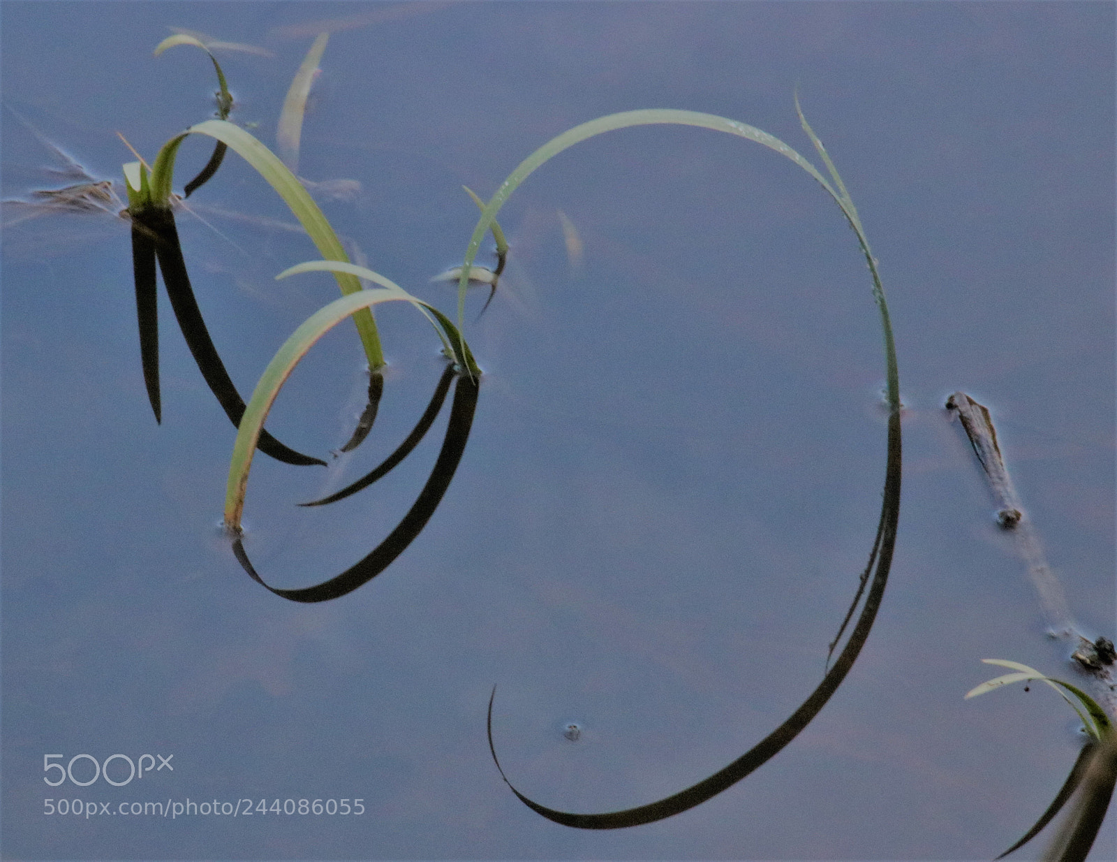 Canon EOS 760D (EOS Rebel T6s / EOS 8000D) sample photo. The circles photography