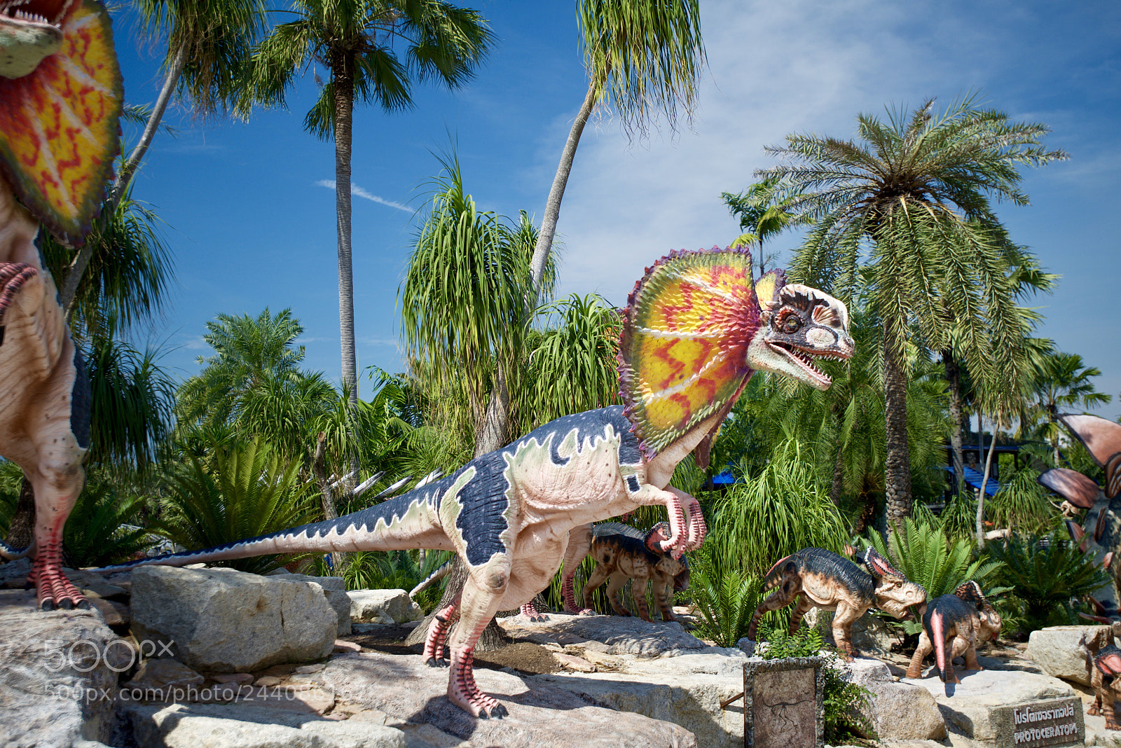 Nikon D800 sample photo. Thai dino photography