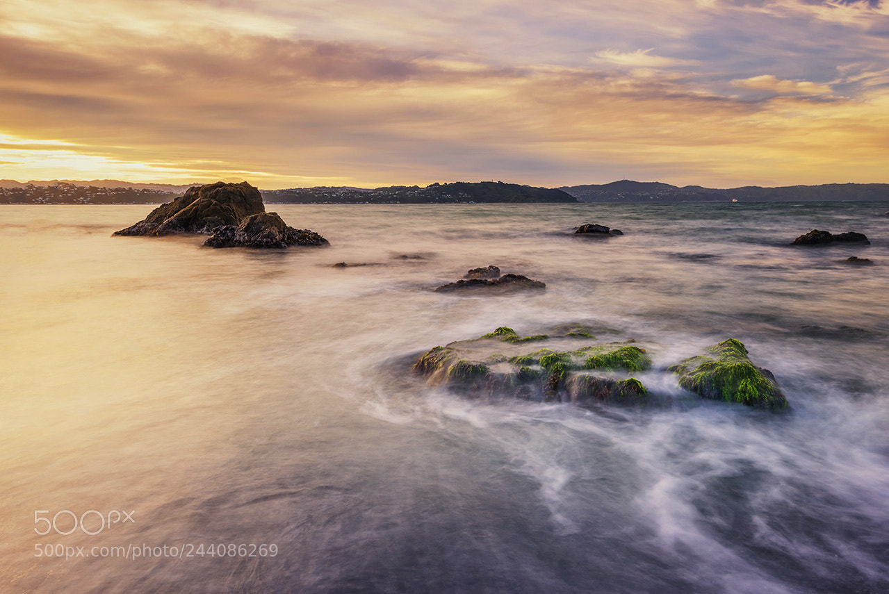 Nikon D810 sample photo. Sunset photography