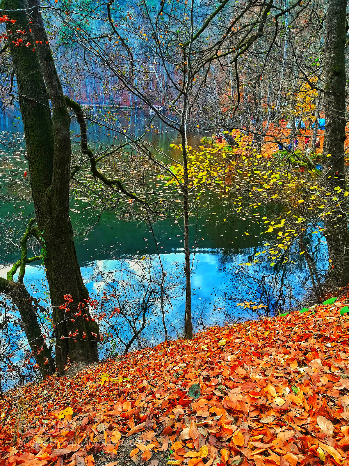 HUAWEI PRA-LX1 sample photo. Autumn photography