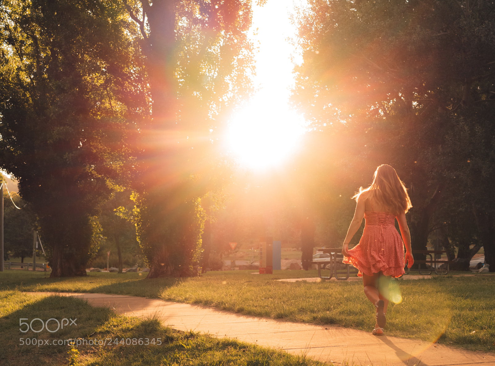 Sony a7R II sample photo. Into the light photography