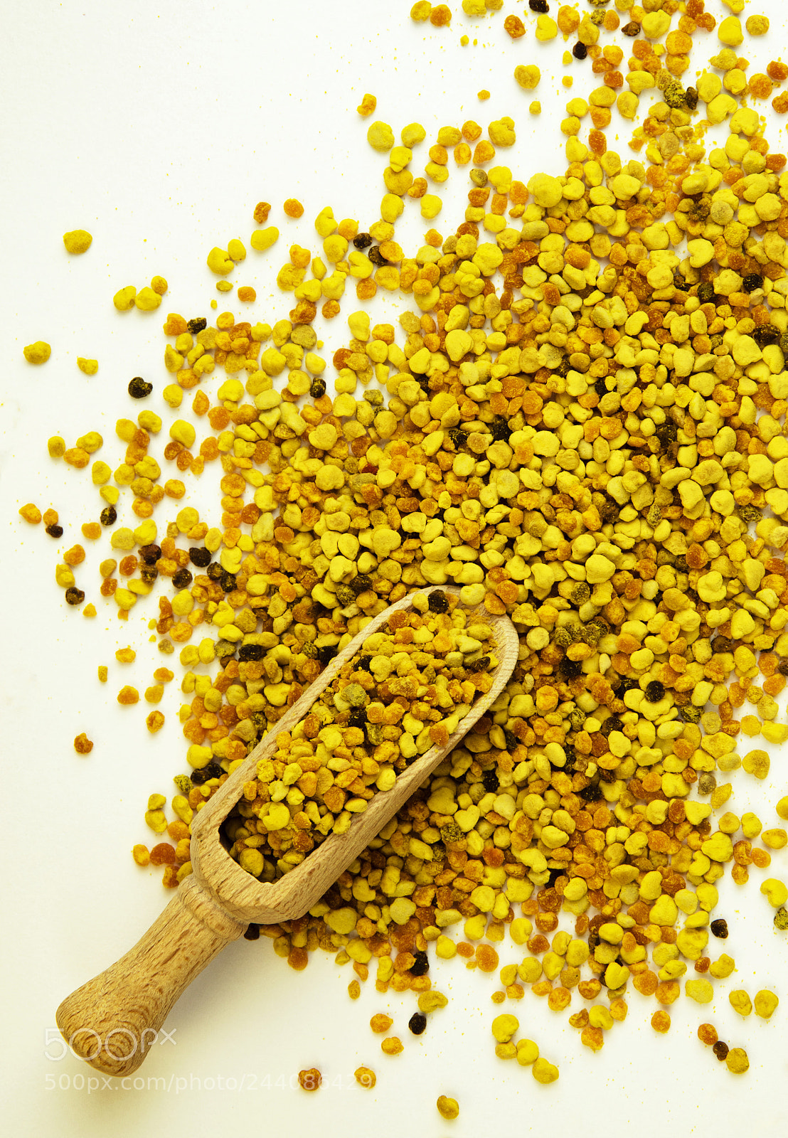 Nikon D5500 sample photo. Pollen grains on a photography