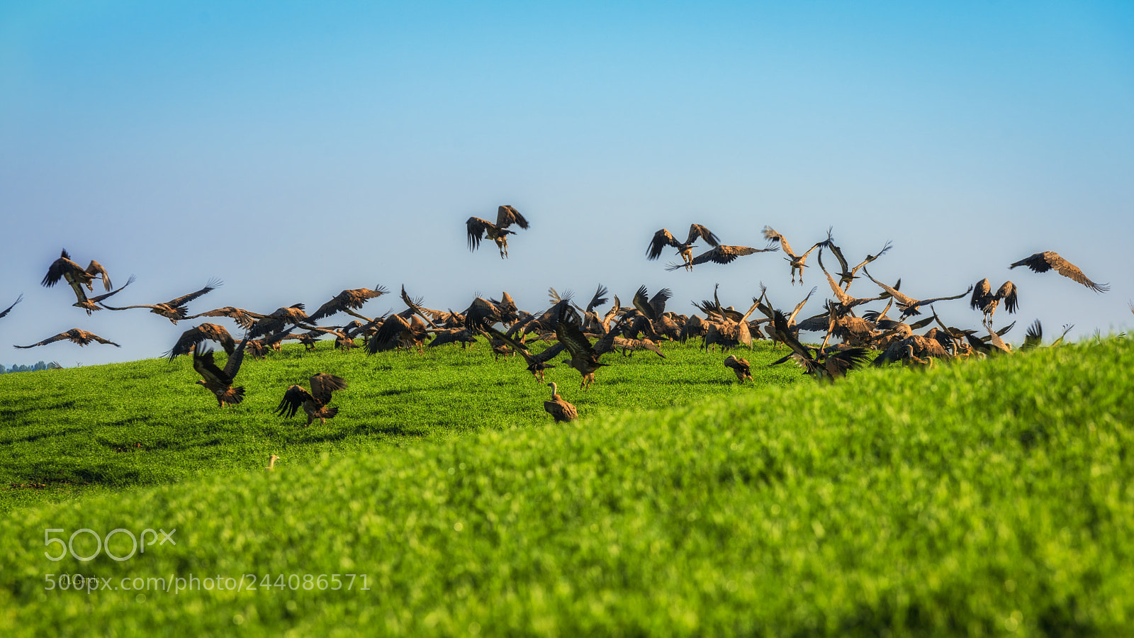 Nikon D810 sample photo. Windows xp photography