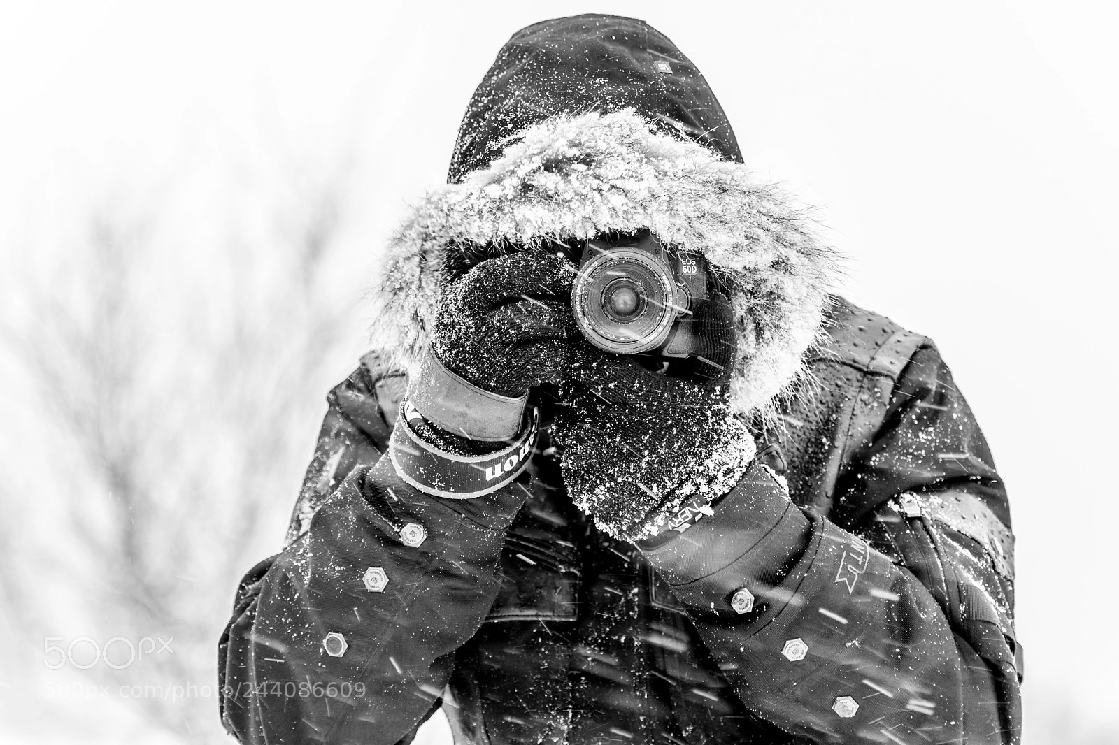 Nikon D850 sample photo. Shooting no matter the photography
