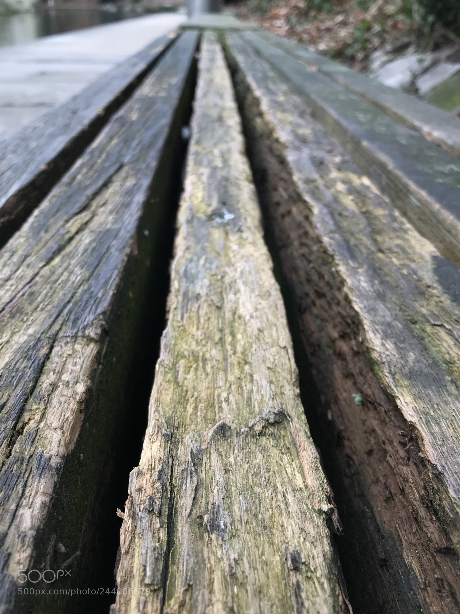 Apple iPhone 7 Plus sample photo. Mein erstes foto auf photography