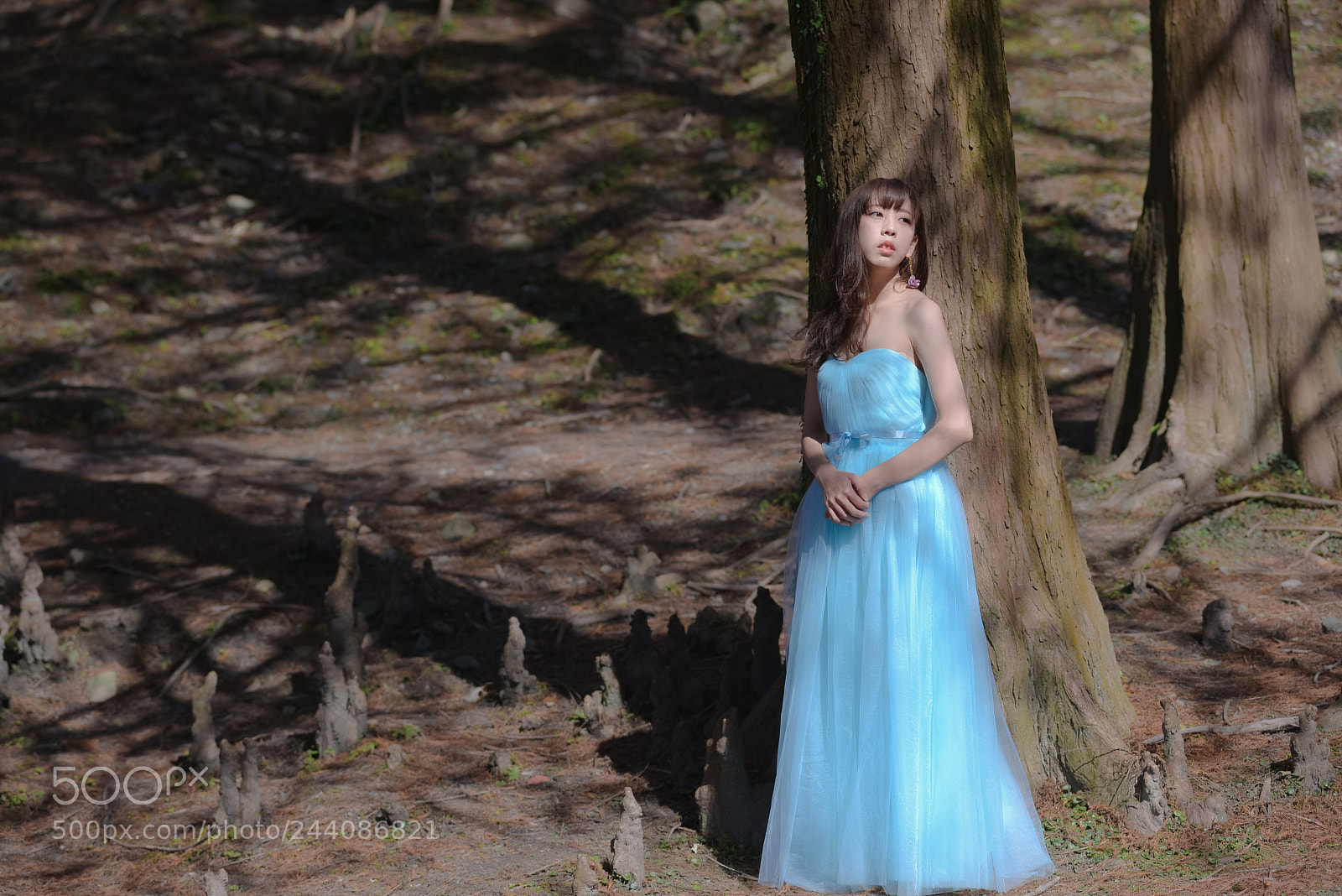 Nikon D600 sample photo. Untitled photography