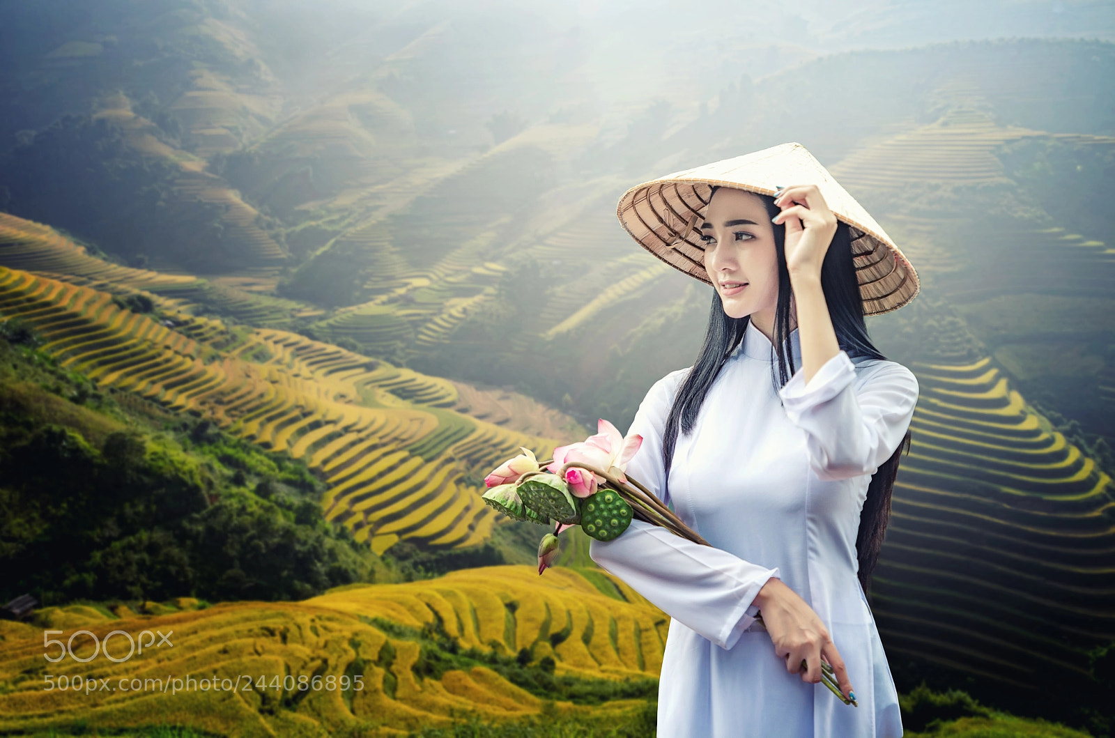 Nikon D600 sample photo. Muchangchai, vietnam rice field photography