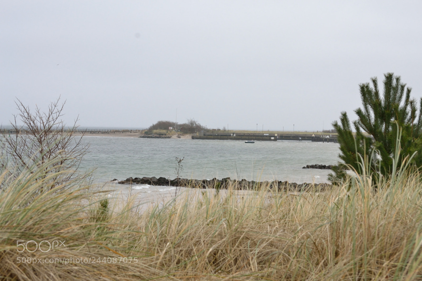Nikon D3100 sample photo. Winter sea photography