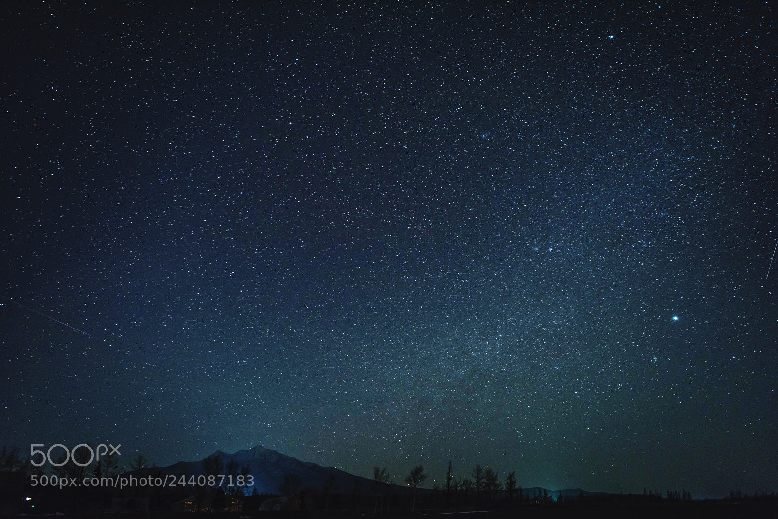 Nikon D810 sample photo. Untitled photography