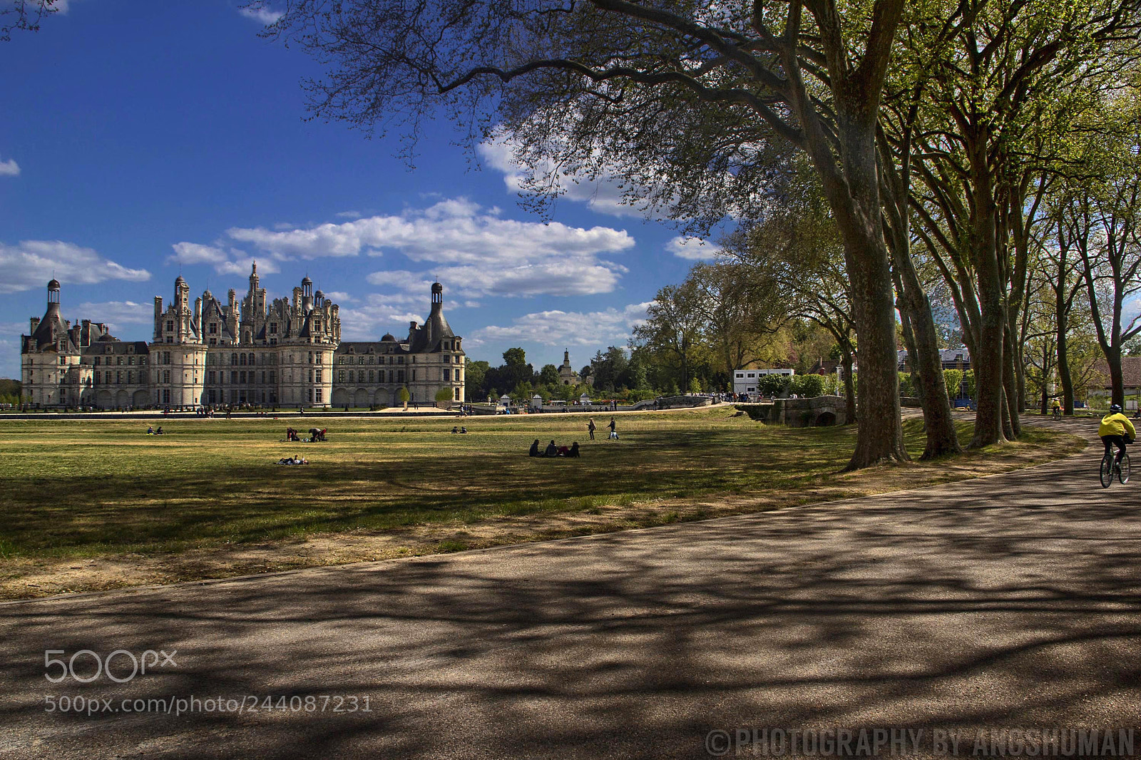 Canon EOS 60D sample photo. Château chambord photography