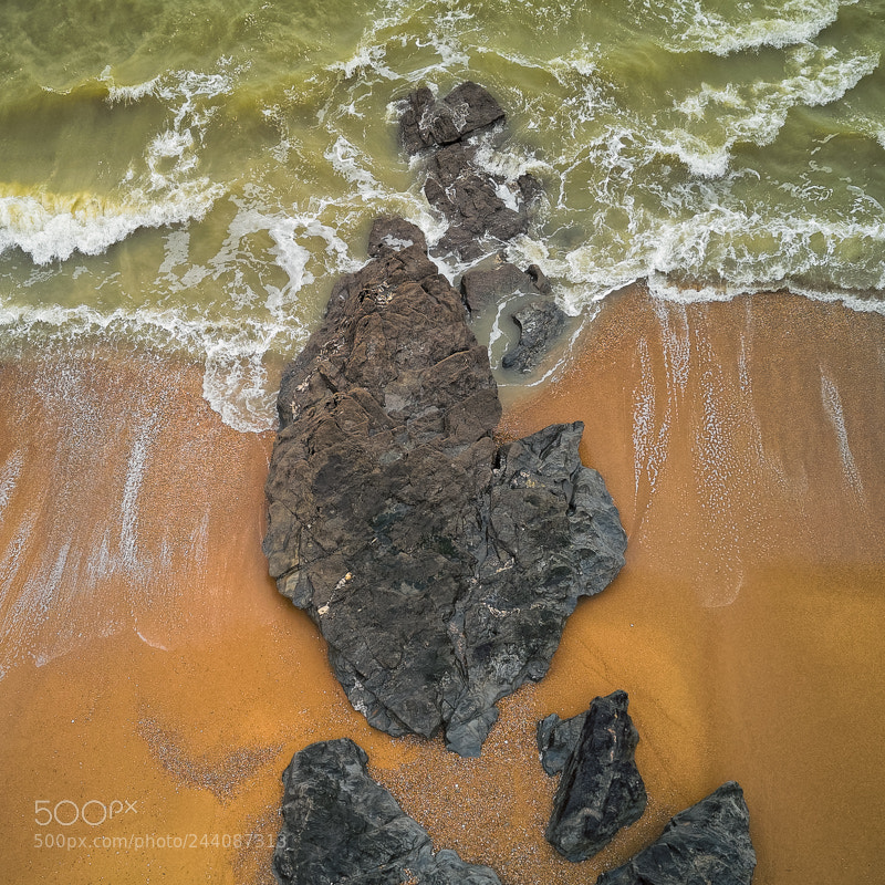 DJI FC220 sample photo. Comme un oiseau photography