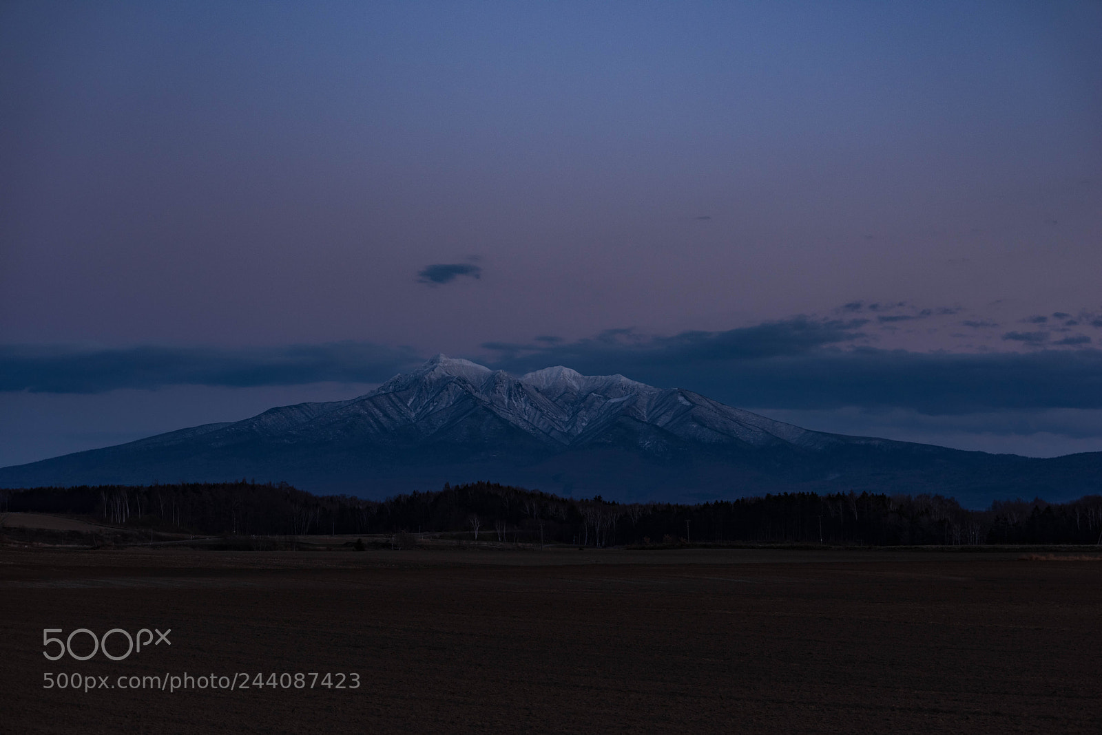 Nikon D810 sample photo. Untitled photography