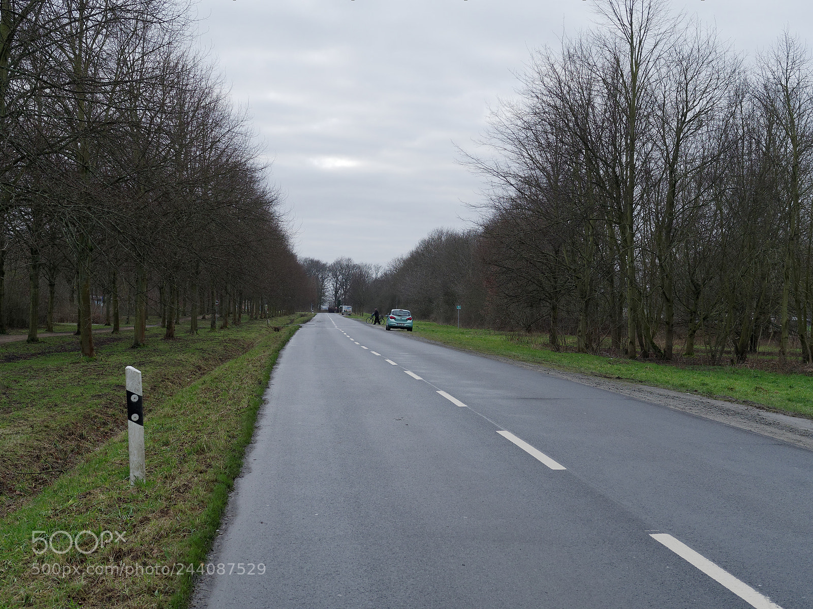 Olympus OM-D E-M5 sample photo. Bs, westpark - allee photography