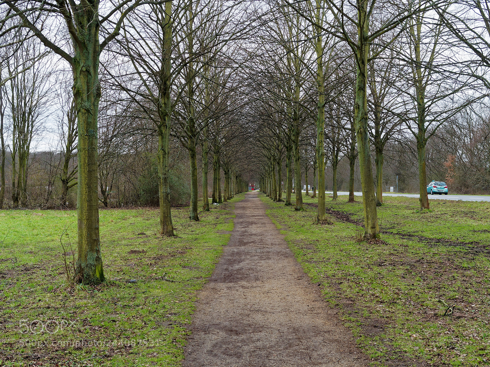 Olympus OM-D E-M5 sample photo. Bs, westpark - allee photography