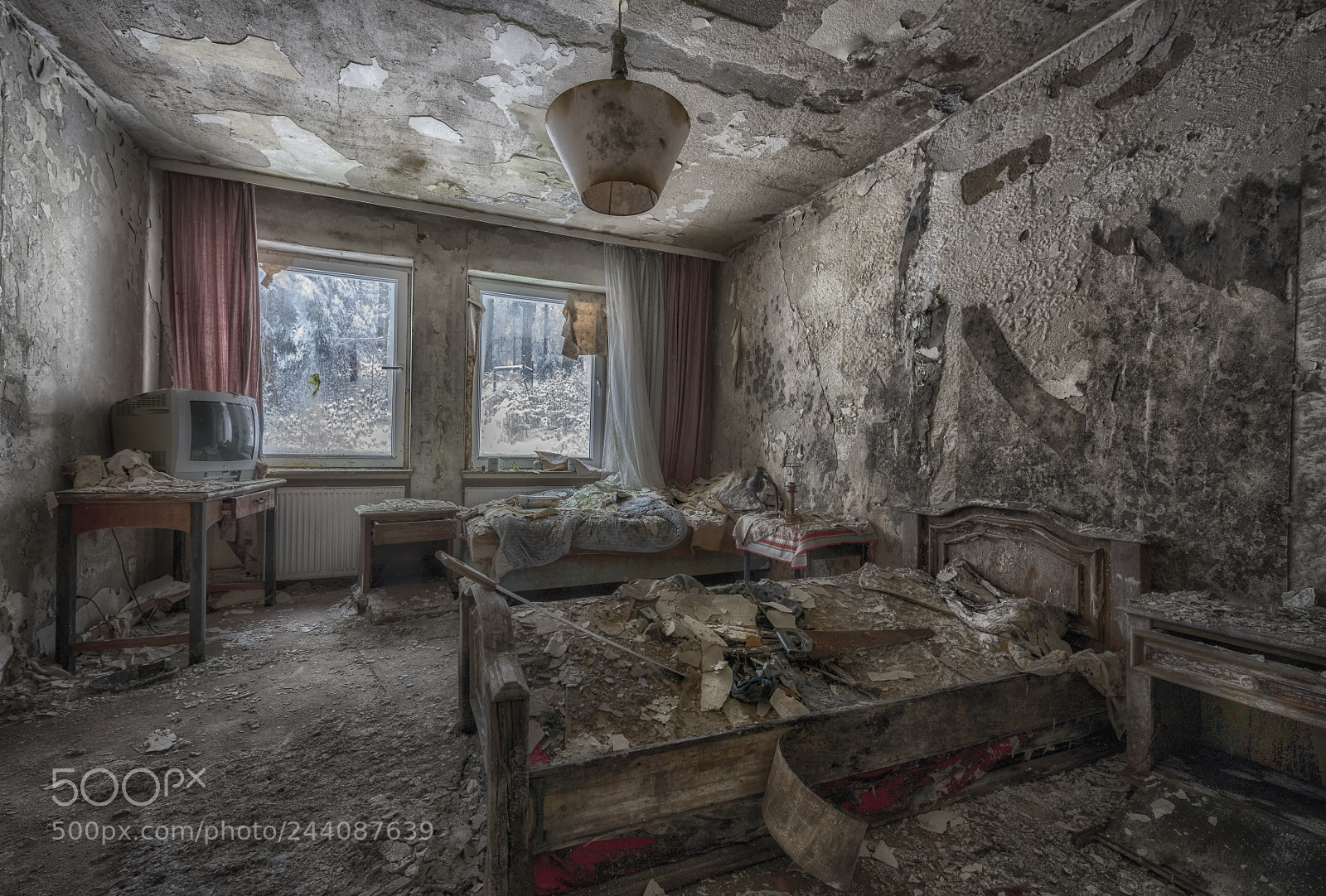 Nikon D810 sample photo. Winter wonderland photography