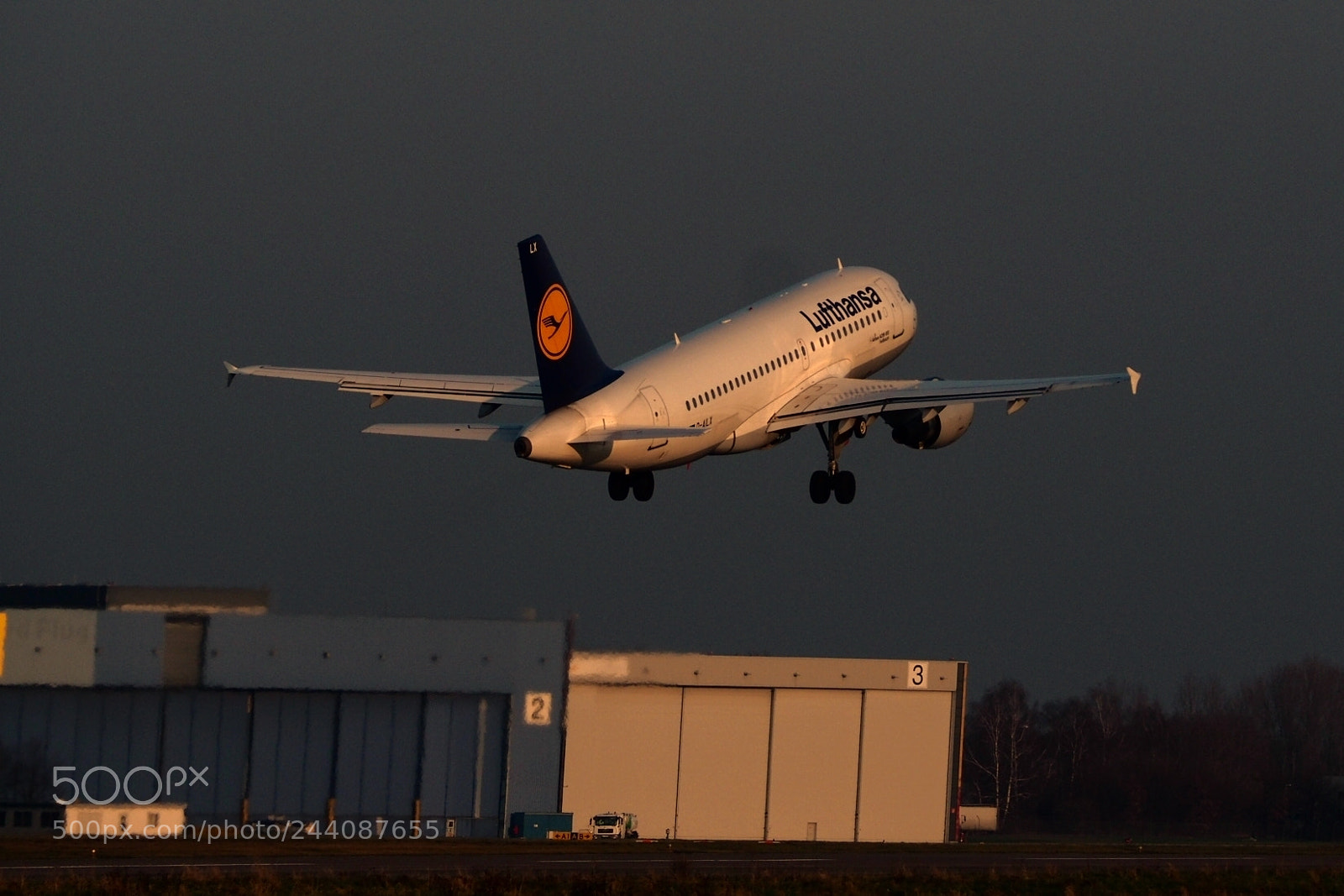 Olympus OM-D E-M10 II sample photo. Up and away photography