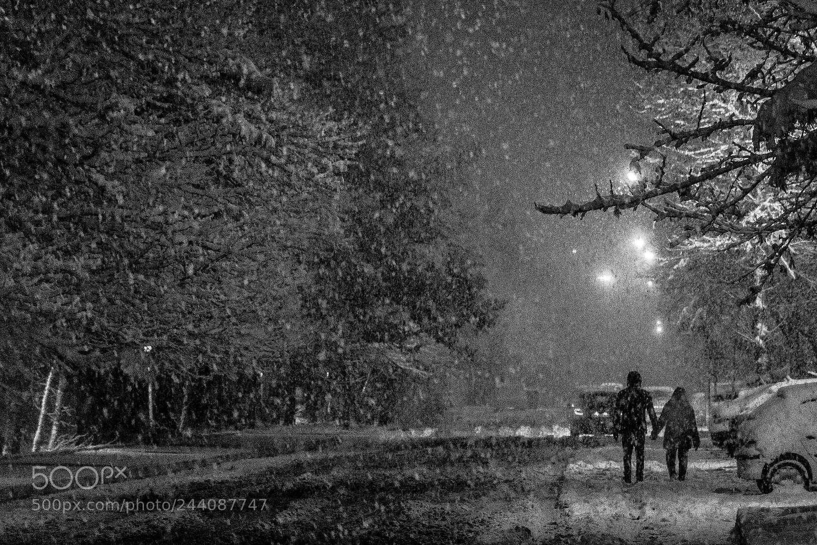Nikon D7200 sample photo. Snow photography