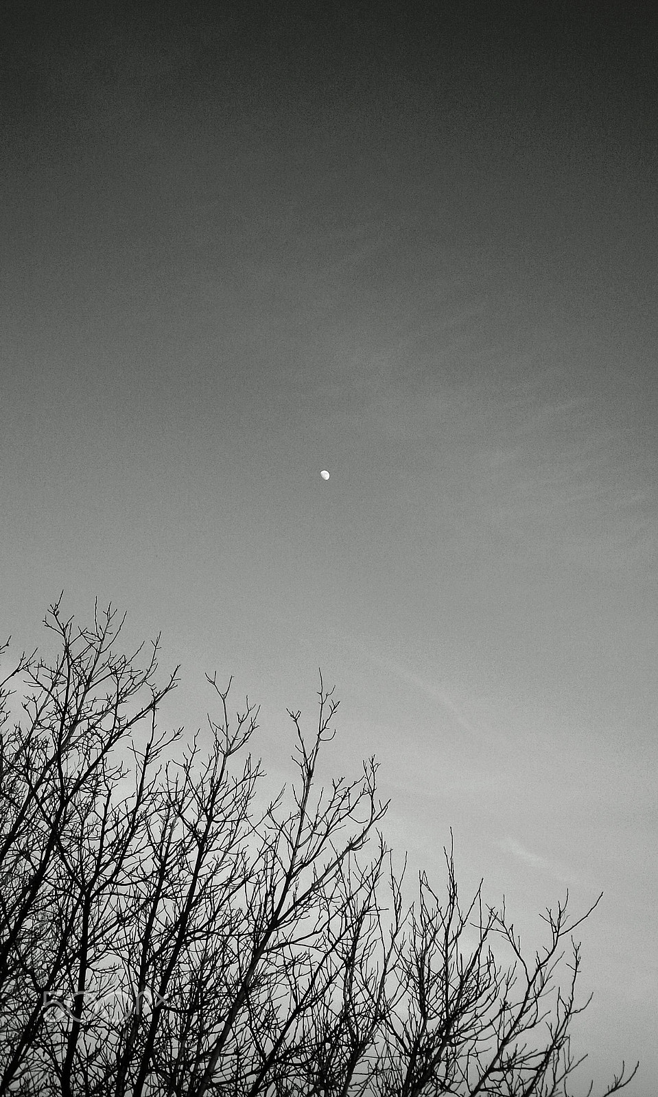 BlackBerry Z10 sample photo. La luna photography