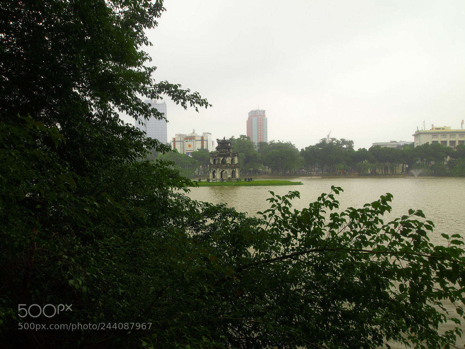 Olympus PEN E-P1 sample photo. Behind the trees photography