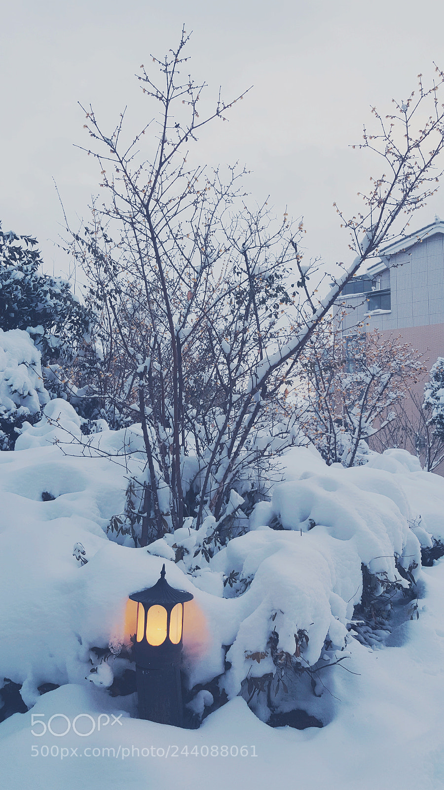 Samsung Galaxy Note5 sample photo. After snow photography