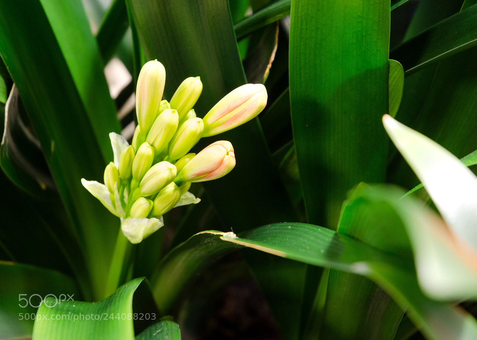 Nikon D5100 sample photo. 303 photography
