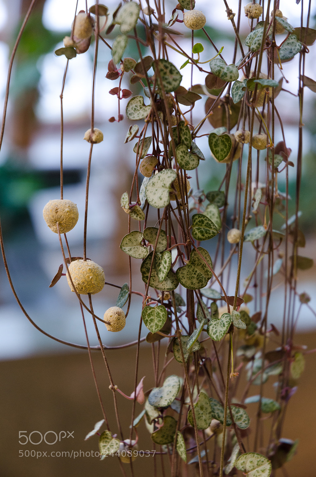 Nikon D5100 sample photo. 304 photography