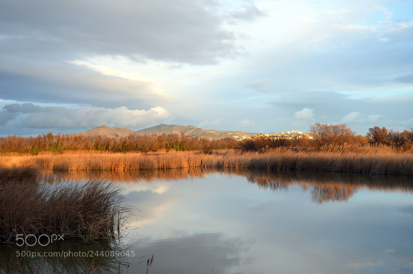 Nikon D3200 sample photo. Evening light photography