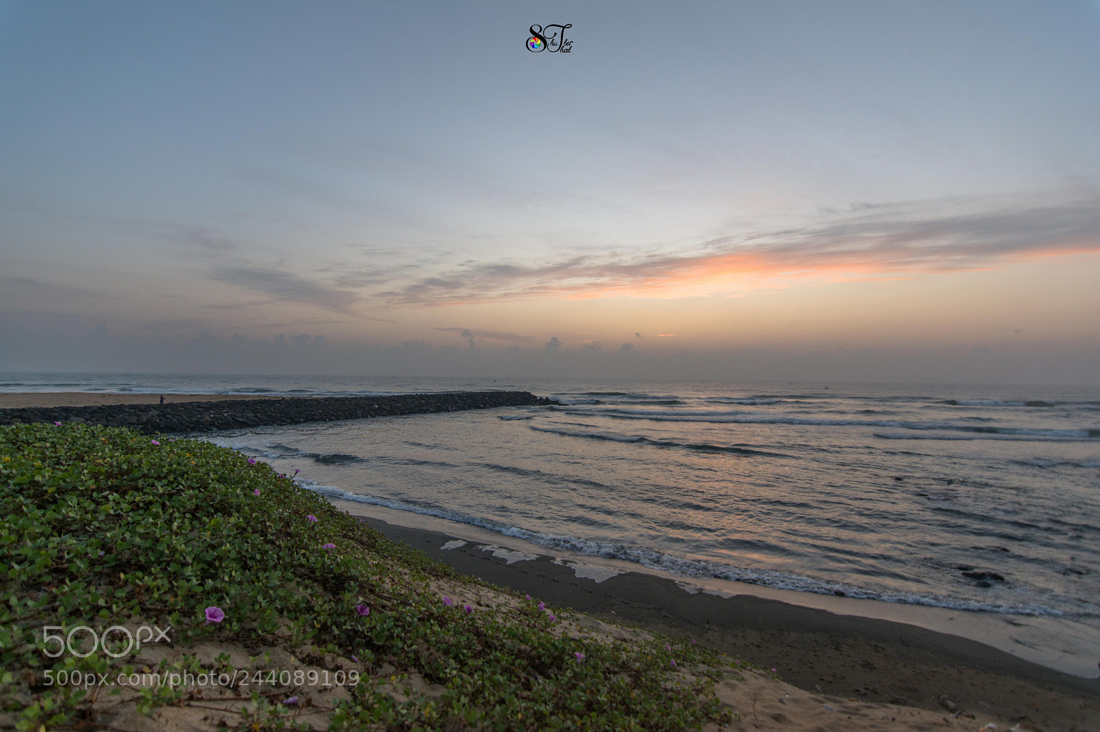 Nikon D7100 sample photo. Marina morning photography