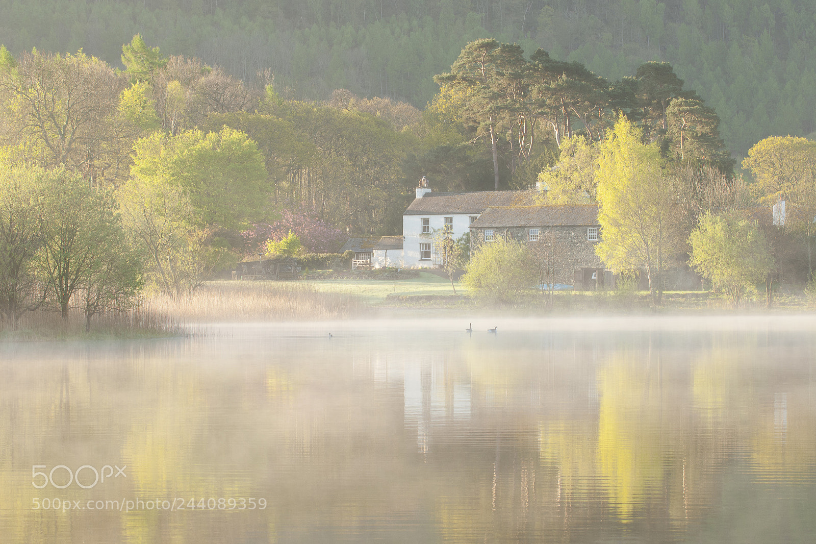 Nikon D300 sample photo. Strandshag bay early morning photography