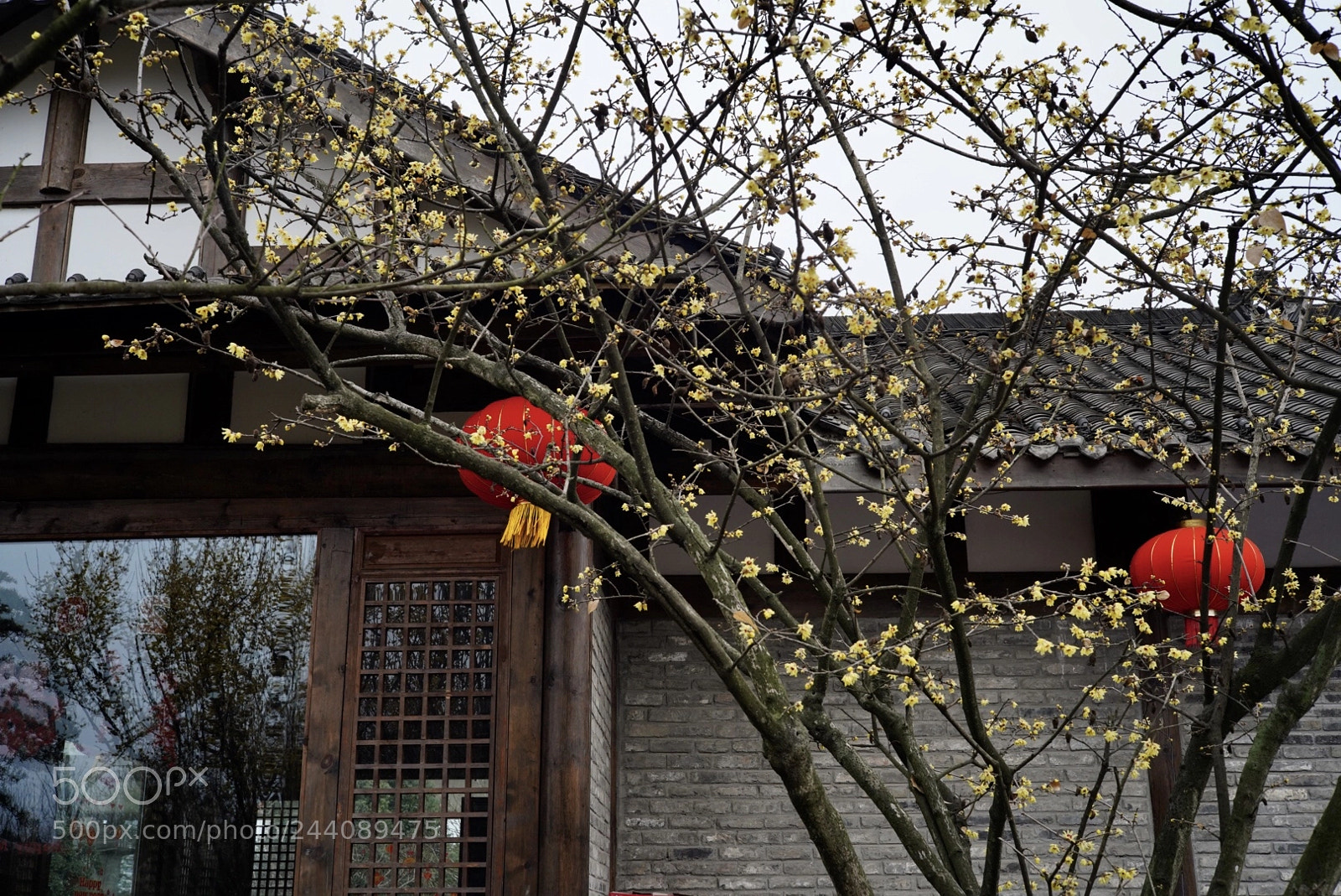 Sony a7R III sample photo. Untitled photography