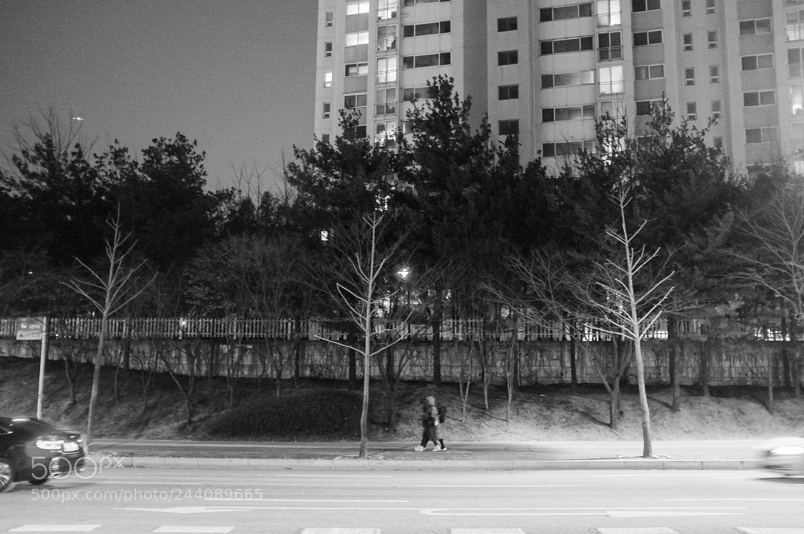 Fujifilm FinePix X100 sample photo. #후지필름 #후지피플 #후지카메라 #후지x100 #x100 #fujix100 #후지 #fu ... photography