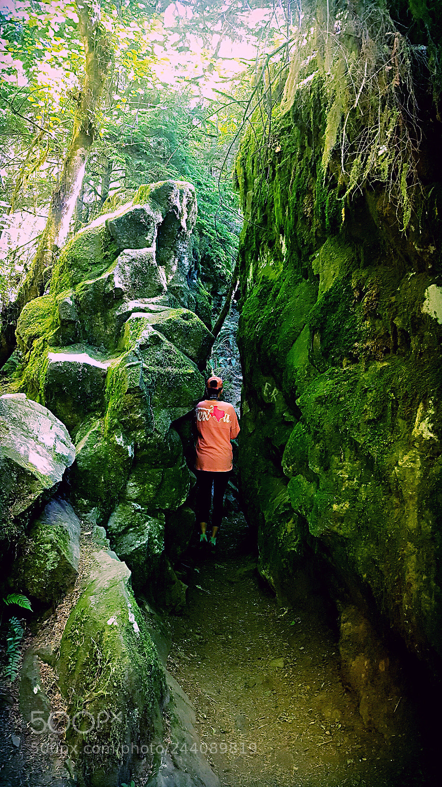 Samsung Galaxy S6 sample photo. Into the wild! photography