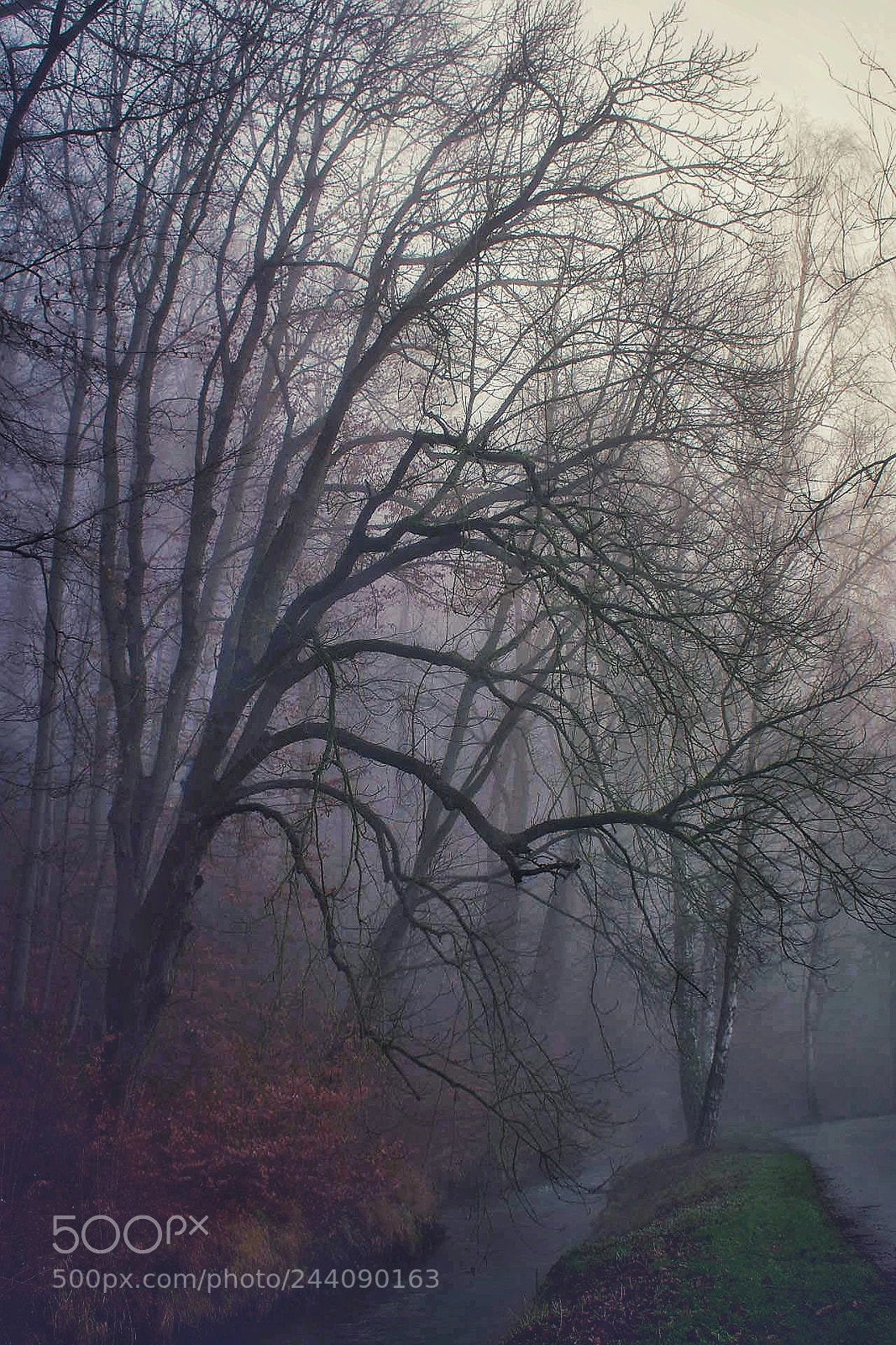 Pentax K-3 sample photo. Untitled photography